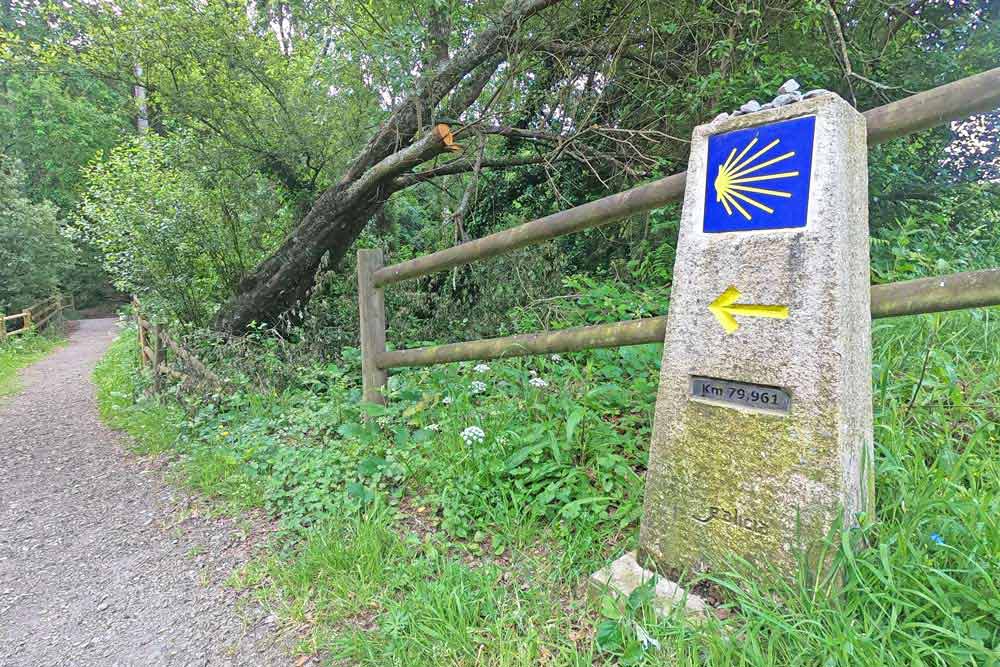 3 Camino Diecezjalne